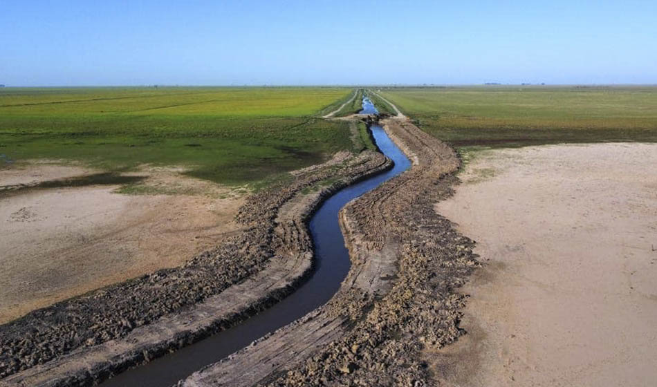 laguna
