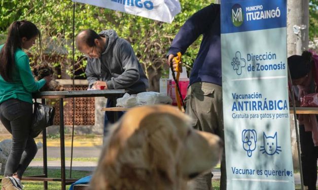 La Justicia de Morón y un fallo a favor del ejercicio ilegal de la medicina veterinaria