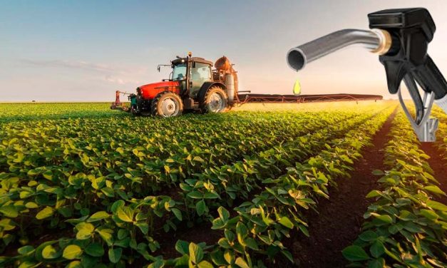 Biocombustibles: una alternativa que crece