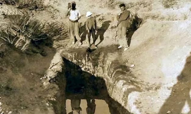  Vaca Muerta: un patrimonio geológico a conocer
