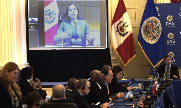 Perú: Dina Boluarte pidió adelantar las elecciones para que cese el conflicto