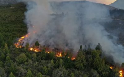 Chubut: alerta naranja en El Hoyo por un incendio forestal intencional