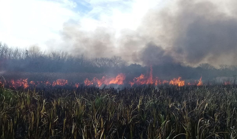 Hudson, Berazategui, incendios