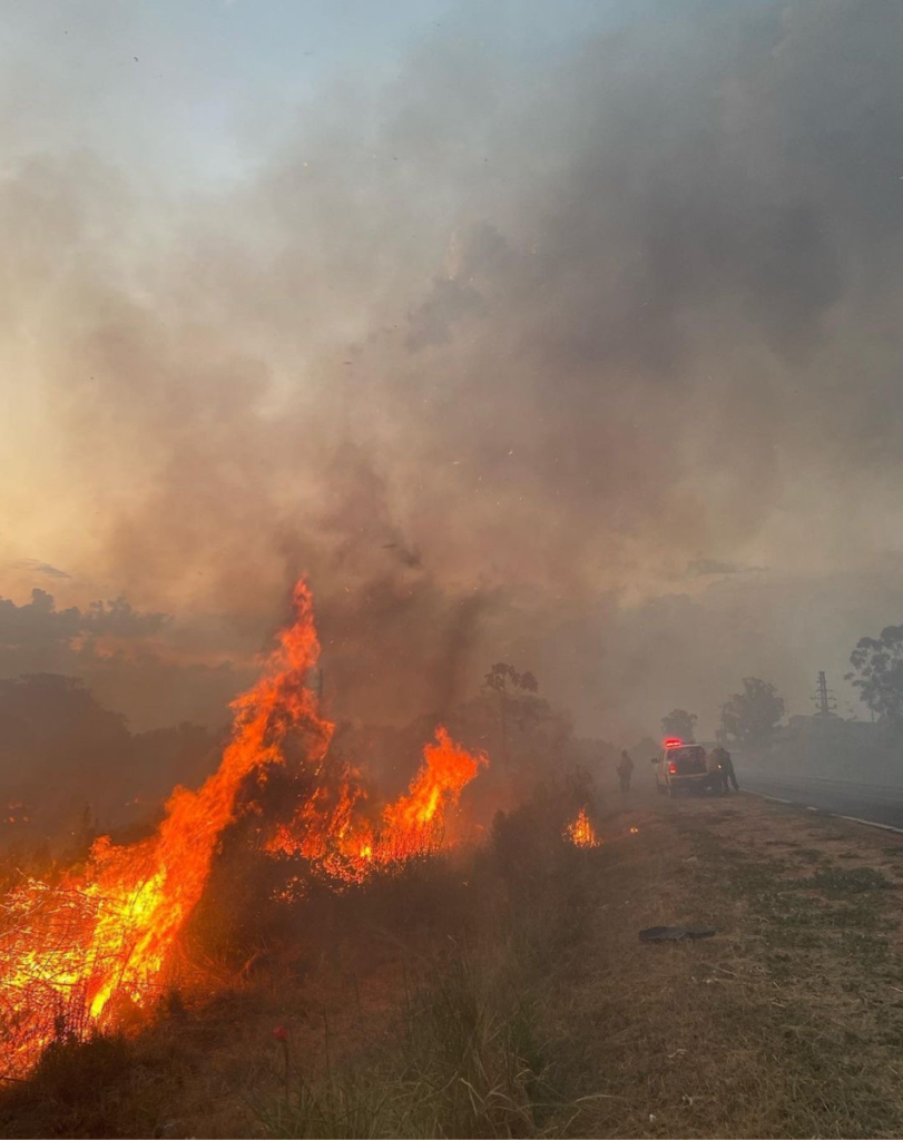 Incendios forestales en Corrientes 3