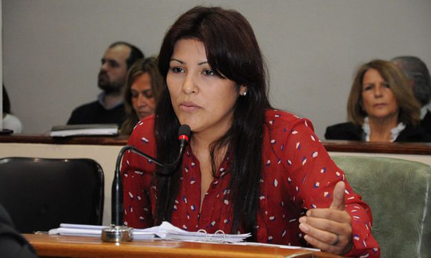 Elizabeth Aguirre: “Será un hecho histórico que el Congreso Nacional trate una ley presentada por la ciudadanía”