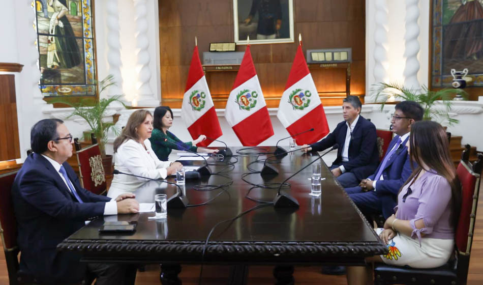 Perú en crisis social 1