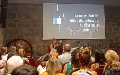 Vitivinicultura: una nueva herramienta para medir la huella de agua y carbono