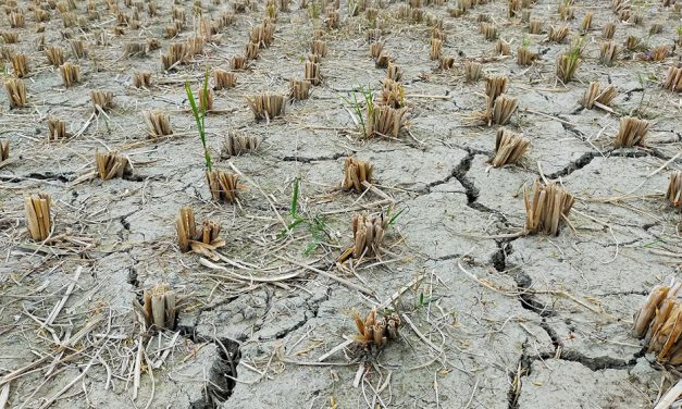 ¿Cómo administrará el Gobierno nacional la situación económica por la sequía?