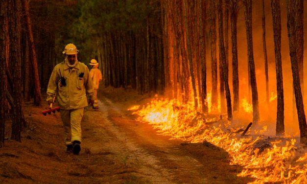 Con dos focos activos, continúan los incendios forestales en Corrientes