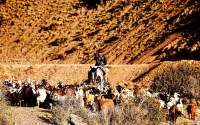 Resolución antimapuche en Mendoza: crónica de un racismo anunciado