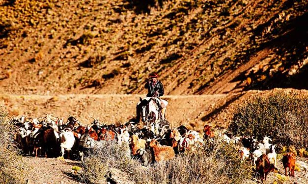 Resolución antimapuche en Mendoza: crónica de un racismo anunciado