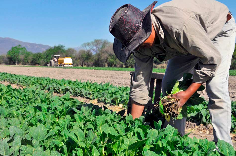 “Efecto sequía”: consumidores pagaron $3,7 por cada $1 que recibieron les productores 3