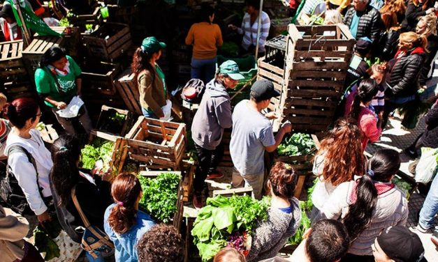 En el Día Internacional de la Lucha Campesina, hubo ferias populares en todo el país