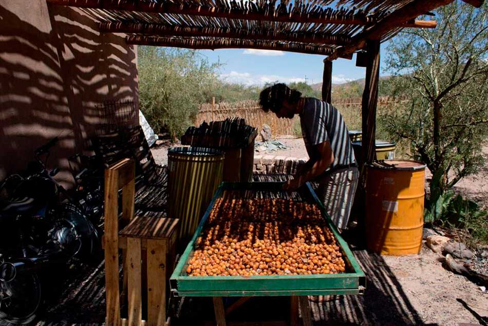 minería