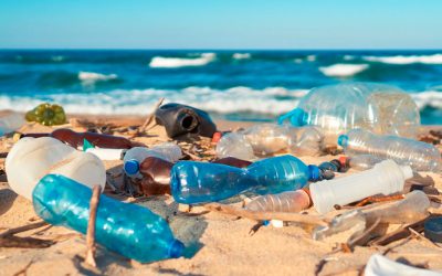 Contra la contaminación por plástico, 157 países debatirán un tratado mundial