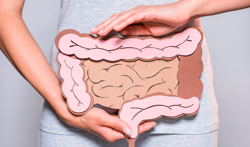 microbiota intestinal