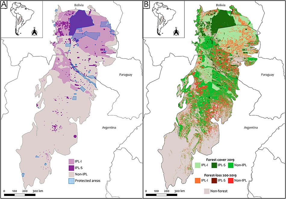 2 Un estudio senala que la tenencia segura de tierras indigenas es vital para frenar la desforestacion Credito Micaela Camino Conicet