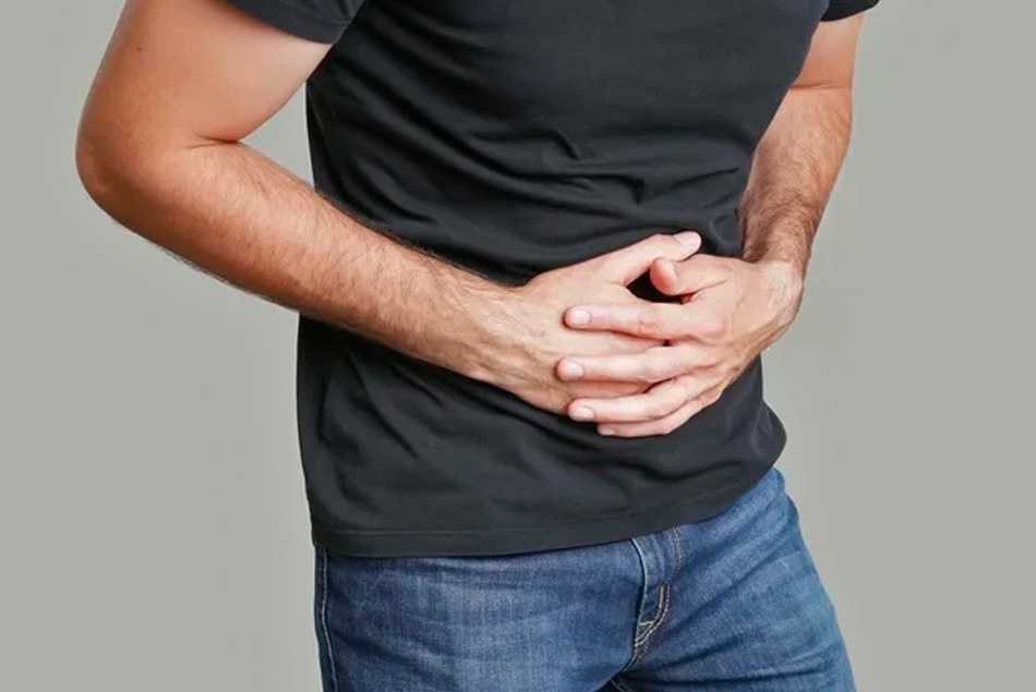 microbiota intestinal