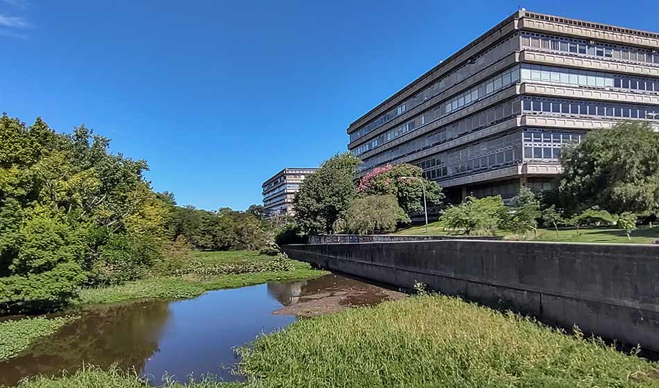 Estudiantes defienden la Reserva Ecológica Ciudad Universitaria ante los negocios del Gobierno porteño  1