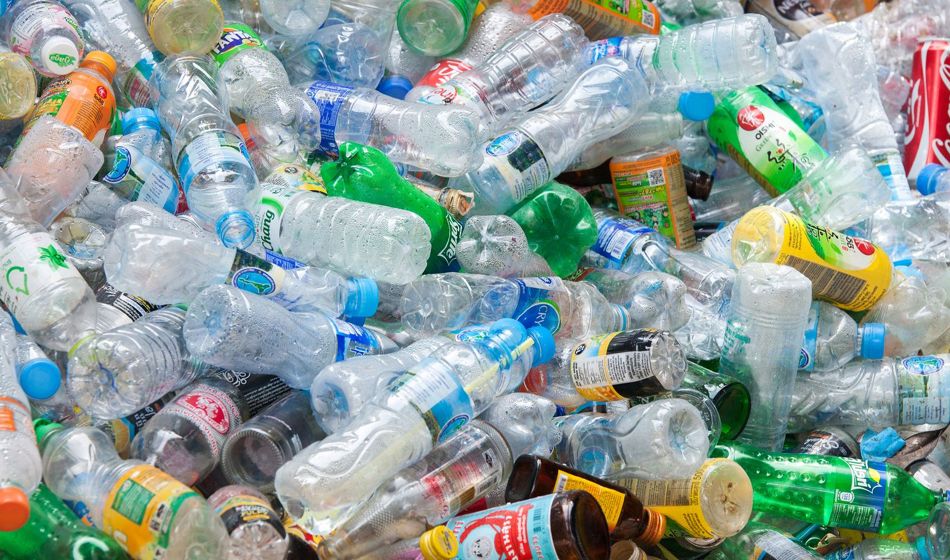 Credio EconomiaSustentable Botellas Reciclaje