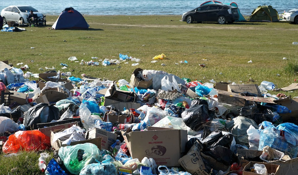 Día Internacional Libre de Bolsas de Plástico, la contaminación del cotidiano 3