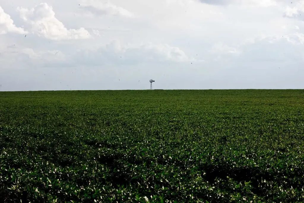 radiografia productiva de entre rios 04 1024x683 1