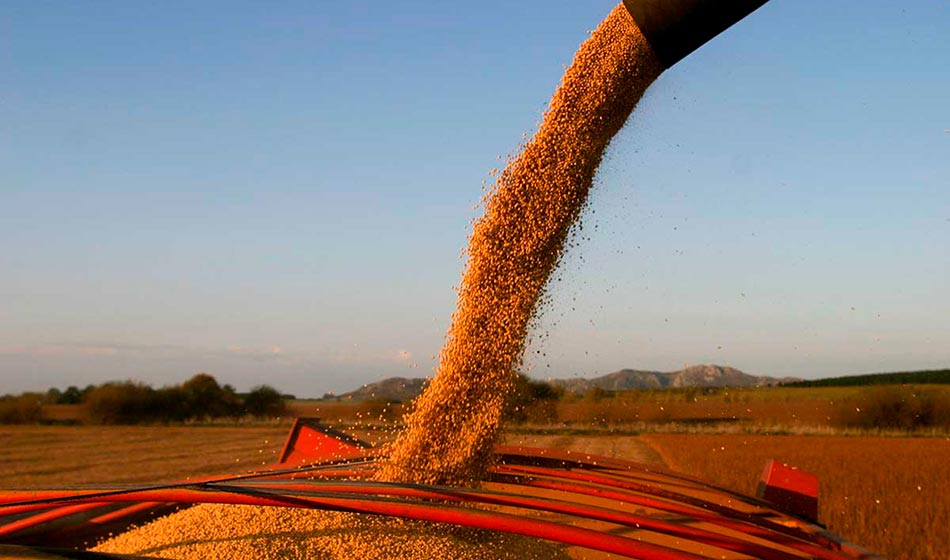 El debate ausente: segmentación de las retenciones y repoblar el campo 1 campo