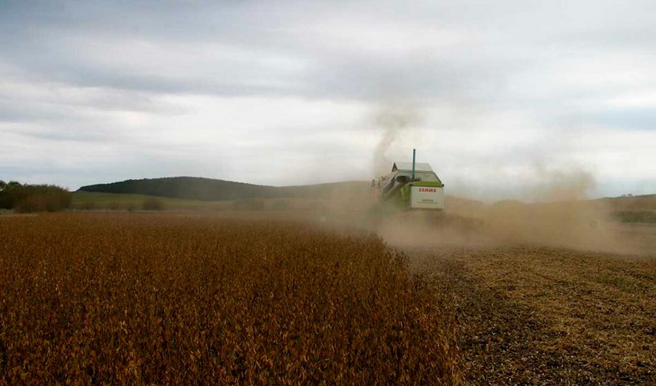 El debate ausente: segmentación de las retenciones y repoblar el campo 4 campo