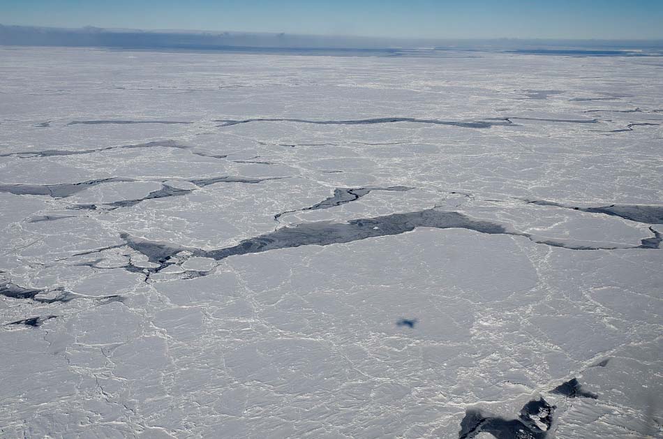 ¿Qué hay detrás de la disminución de hielo en la Antártida?