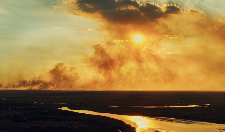 “Argentina Salvaje”, un film de naturaleza que llegó a los cines 3 Argentina Salvaje