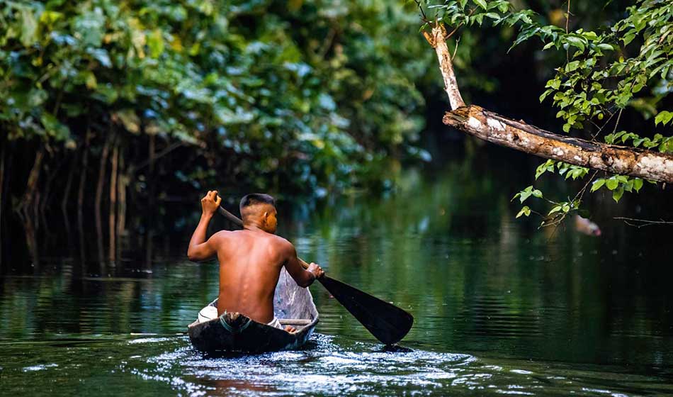 Amazonia Fuente Generation Vegan