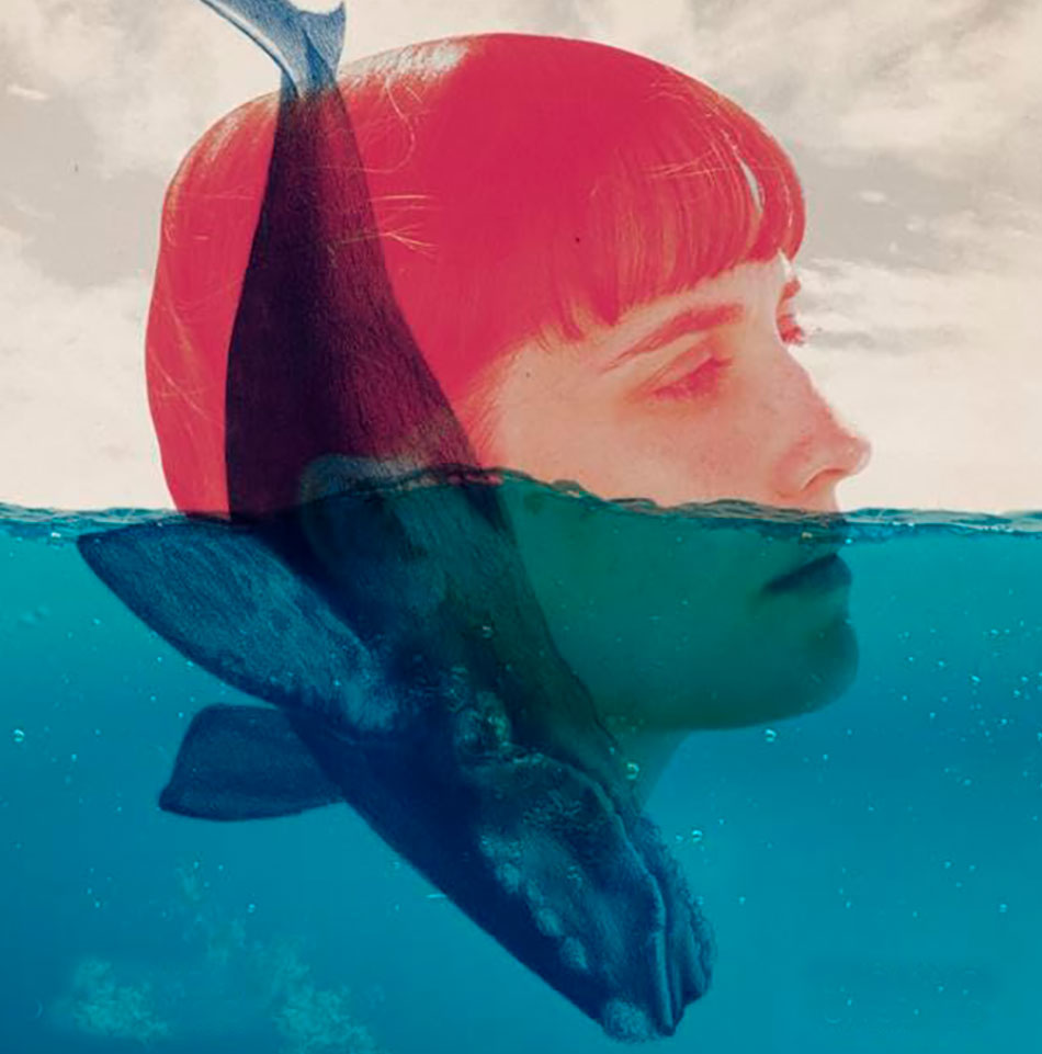 La quinta edición del Festival Internacional de Cine de Ensenada celebrará el arte y la diversidad 2 festival internacional de cine de ensenada