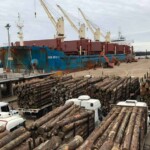 Desde la Federación de Estibadores Portuarios de Argentina denuncian a empresarios por persecución y despidos