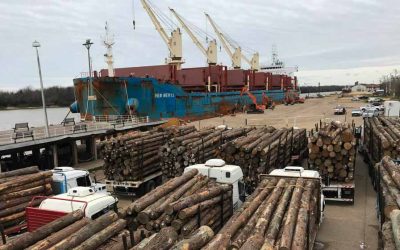 Desde la Federación de Estibadores Portuarios de Argentina denuncian a empresarios por persecución y despidos