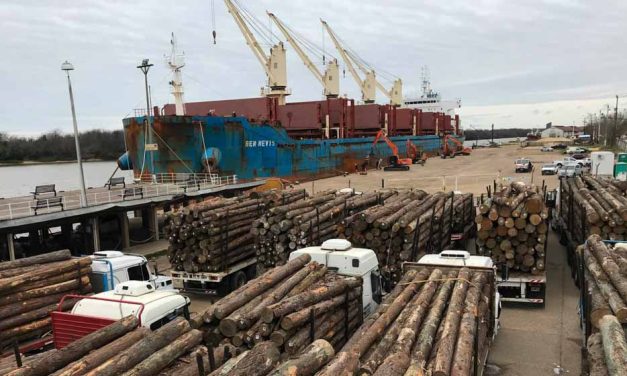 Desde la Federación de Estibadores Portuarios de Argentina denuncian a empresarios por persecución y despidos