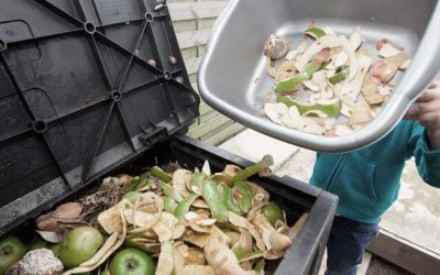 Se conmemora un nuevo Día Internacional de Concienciación sobre la Pérdida y el Desperdicio de Alimentos