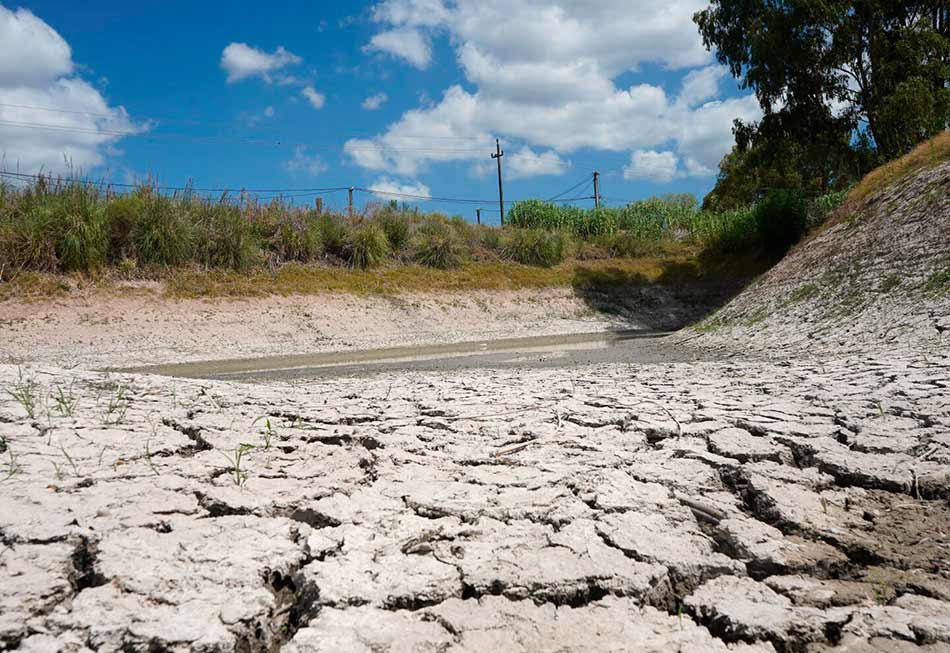 Un grupo de productores logró revertir el impacto de la sequía en Uruguay 2 Uruguay