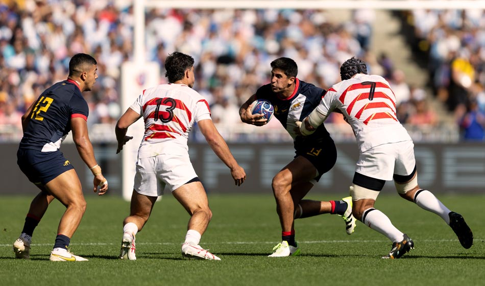 pumas
