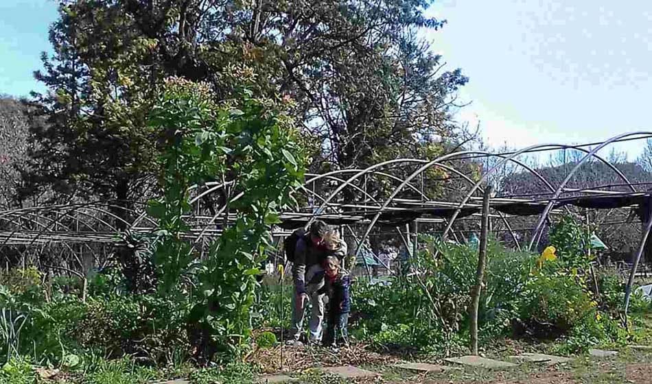 Construir una agricultura para la vida Credito Agriculutura Urbana Rosario Agencia Tierra Viva 1