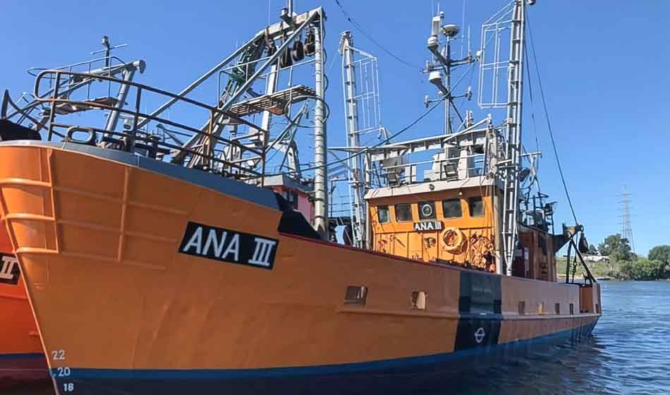 Un estudio alerta sobre el bajo consumo de pescado en la dieta de la juventud argentina