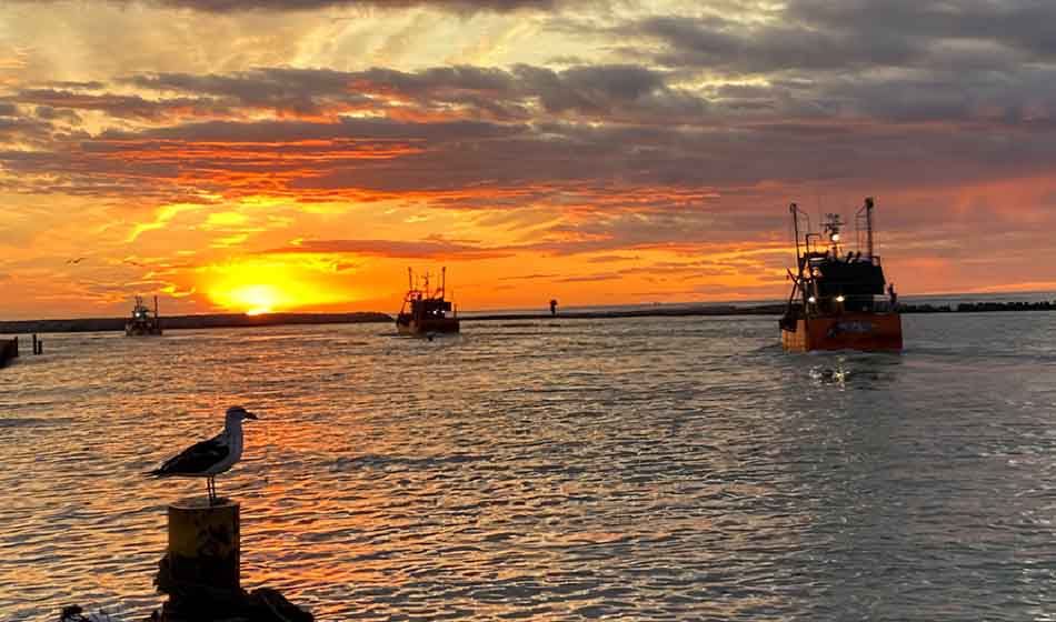 Un estudio alerta sobre el bajo consumo de pescado en la dieta de la juventud argentina