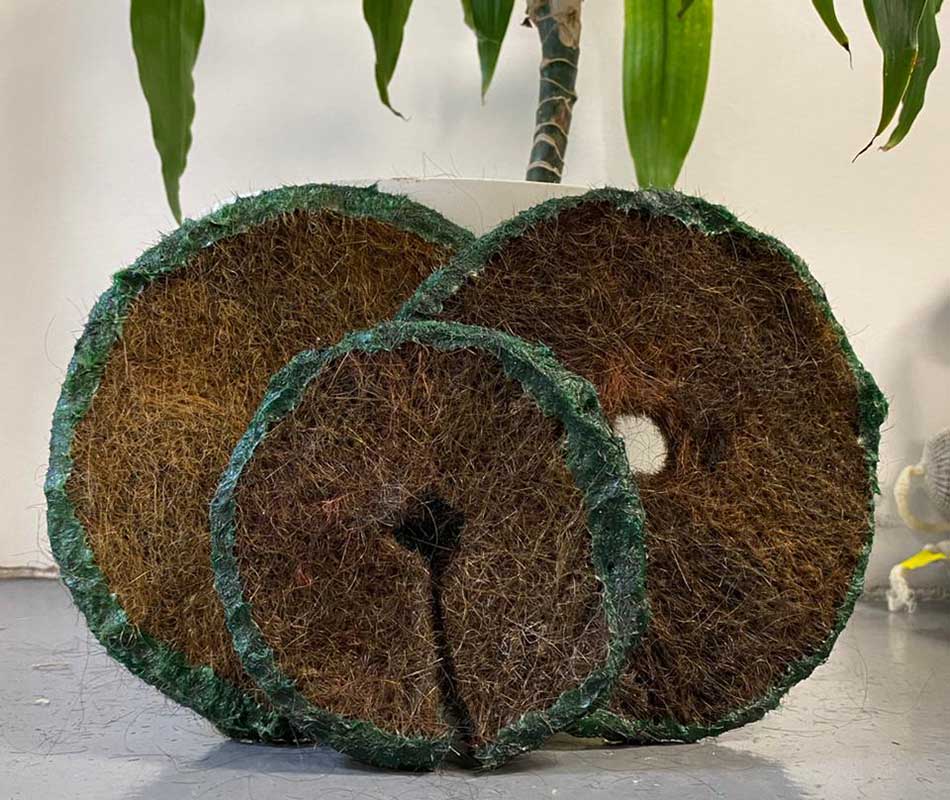 pelo