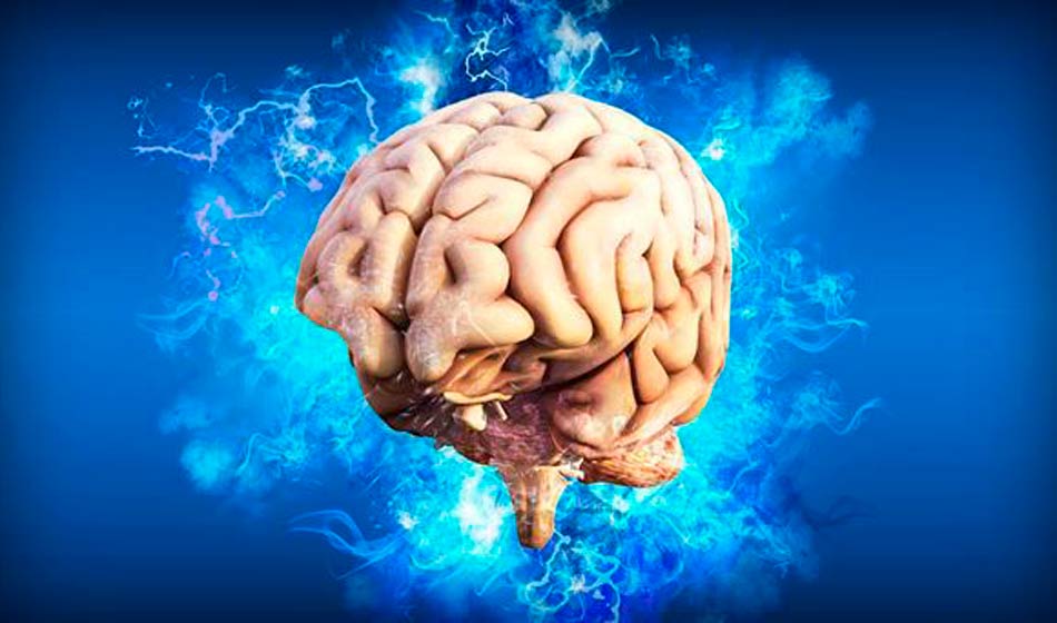 Se estima que para 2050 aumentarán los casos de ACV, por lo que la alarma mundial está enfocada en disminuir los factores de riesgo. Crédito: EITB