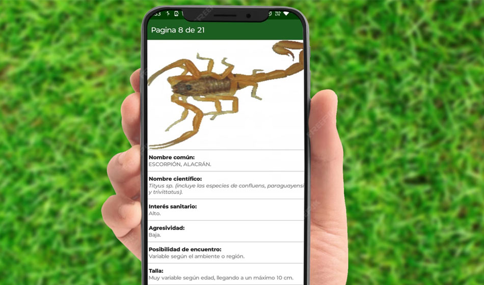 Una app permite identificar animales e insectos venenosos peligrosos para la salud 1