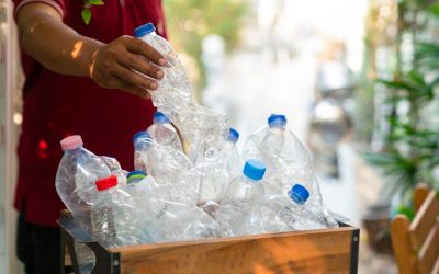 Economía circular: realizarán por primera vez una exposición de productos hechos con plástico reciclado o reutilizado en Esteban Echeverría