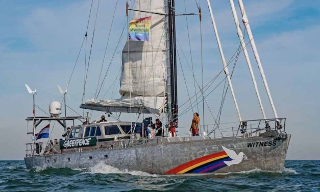 Greenpeace irrumpió en el área de exploración petrolera off shore en Mar Argentino