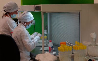 “Argentina a todo pulso”, una serie que recupera el rol de las empresas públicas 