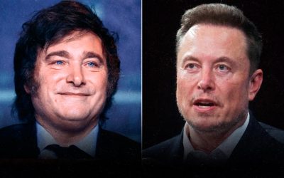 Elon Musk y su apoyo a Javier Milei: ¿qué motivos se esconden?