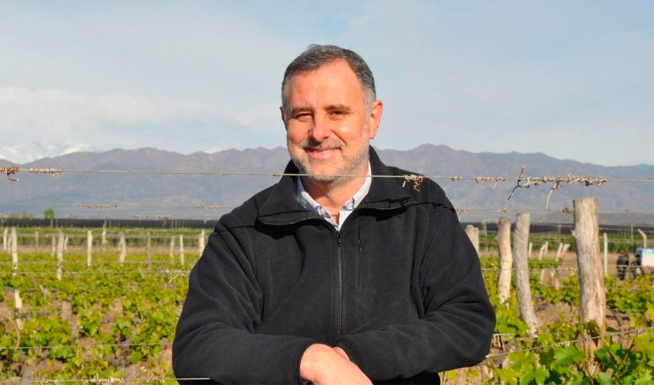 Economías regionales en riesgo tras las medidas del gobierno de Javier Milei 2 economías regionales