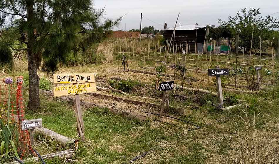 DESTACADA Agroecologia en Guernica. Otra forma de sembrar y habitar el Conurbano Credito Melisa Letenmedia Maria Josefina Severino